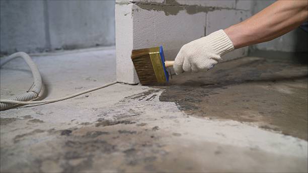 SJ Waterproofing Pros Crawl Space Encapsulation coverage map for Young America, IN and surrounding area